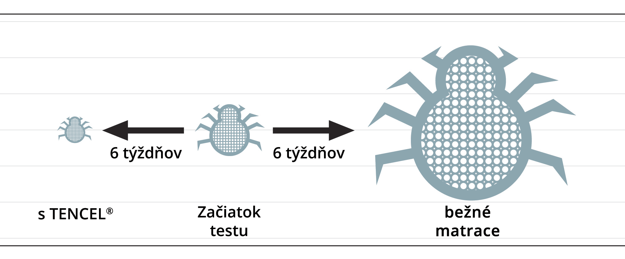 Rast roztočov v matracoch